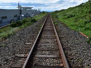 O`̏ԉCtH[VZ^[@Hana̓eʐ^1