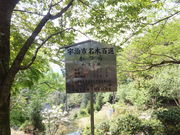 ڂ炳̊ԎR@(Ԏ)@j̖؂̓eʐ^1