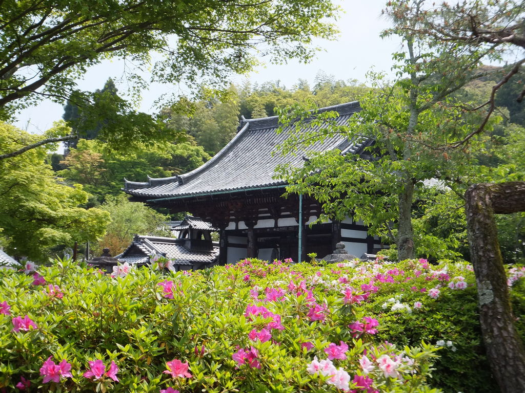 関西の動物園 植物園ランキングtop10 3ページ目 じゃらんnet