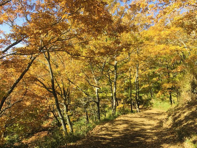 V̍gtƂĂY킾̂ŃeVオ܂_}[mkJ