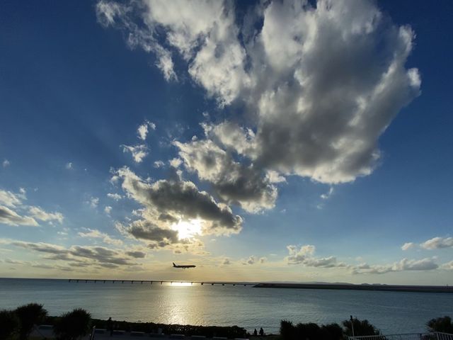 ��s�@�̔����V�[���Ɨ[�z�����邱�Ƃ��ł��܂��B_�������E�~�J�W�e���X