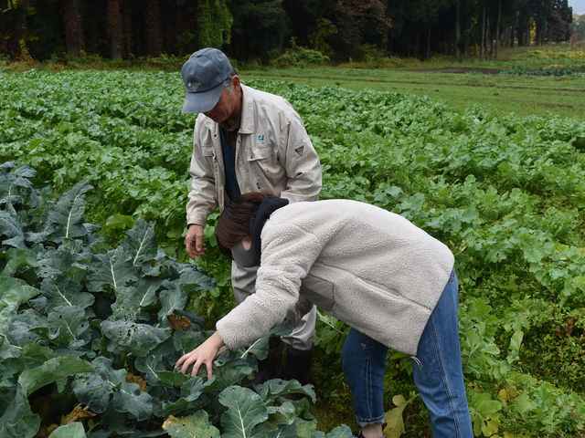 ���������u���b�R���[�I_�������HOME HOME NIIGATA