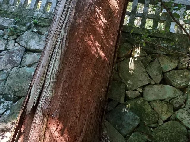 ۂۂ̖їꑰ揊̓eʐ^2