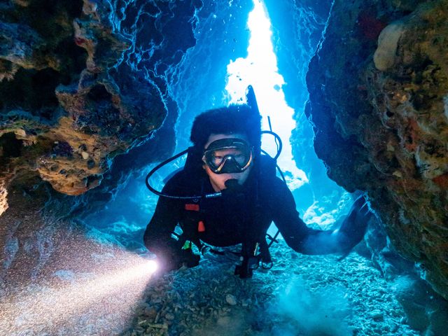 ���A�̌����Y��ł�_����t���A�_�C�u