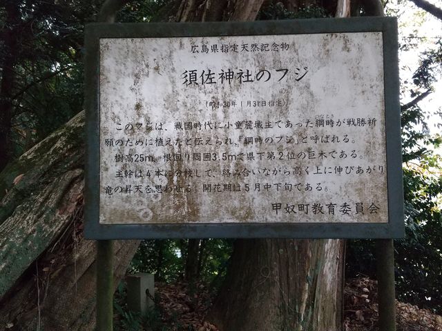 ���̐����Ŕ����킢������܂��B_�{���_��