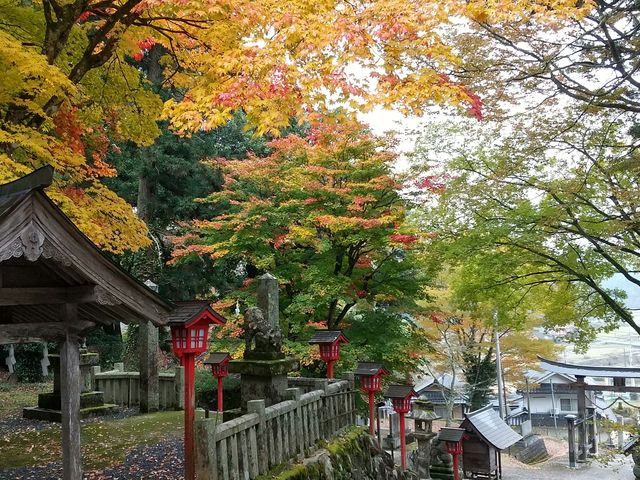 �g�t���n�߂��΂���ŁA�΂��N�₩�Ȏ����ł����B_�{���_��