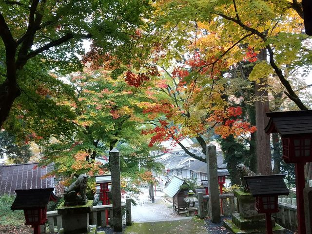 �J�͗l�ł������A�F�N�₩�ł��B_�{���_��