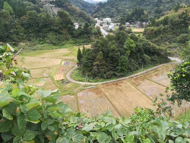 �F��ȒI�c�Ɛ��c������܂�_�������HOME HOME NIIGATA