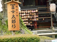 �}���o�[����̖k���{�{�y�m��Ԑ_�Ђւ̓��e�ʐ^4