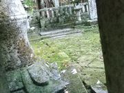 ۂۂ̖їꑰ揊̓eʐ^5