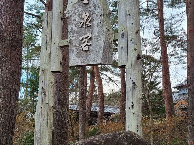 �����炪����t����̊Ŕł�_��ʉ��� ����t