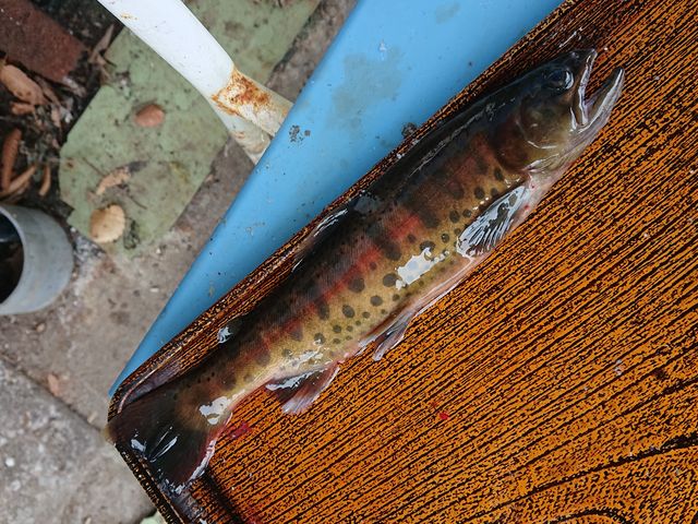 񂪕tĂꂽaŁAÂĔ}ނ܂_mvUiޖxj