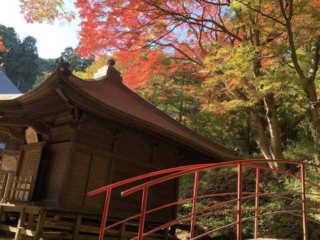 ���厛�̍g�t_�L���̂��݂��� ���厛