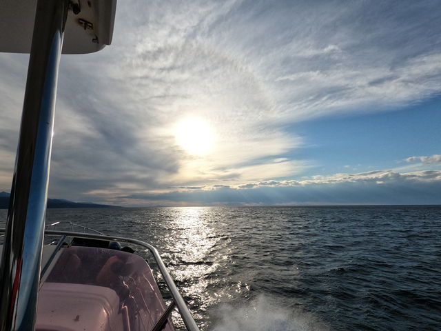 �N���[�Y�D_�m�����E��Y�N���[�YFOX��