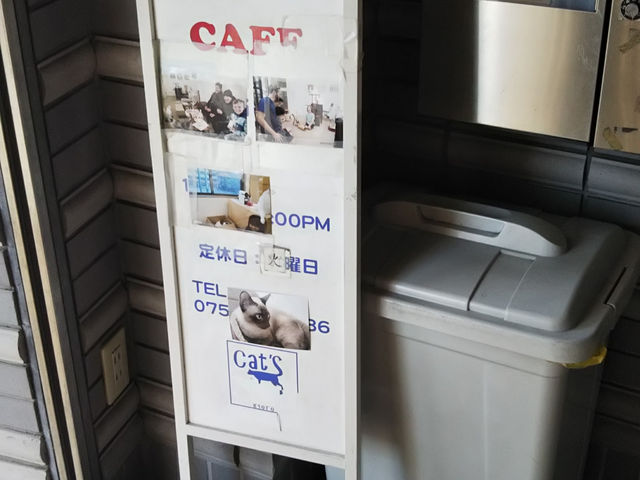 �r���̓�����t��_�L�J�t�F�M�������[�@�L���b�c�A�C