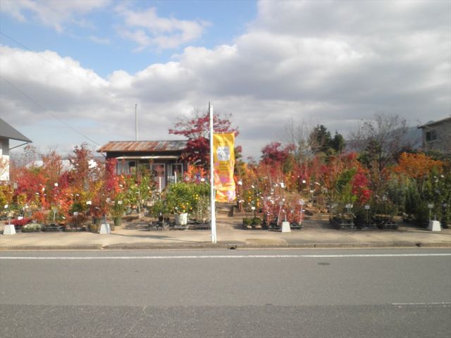 �l�X�Ȃ��X���o�Ă��܂���_����ߗΉԃZ���^�[