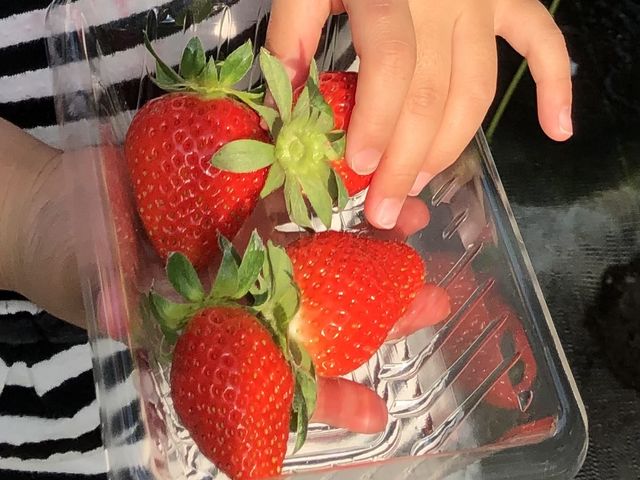 ������ƔP�邾���Ŏq���ł��ȒP�Ɏ��܂��B_�t���[�c�K�[�f����܂���