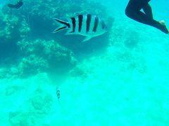 acccoNEWSߔeXւ̓eʐ^1