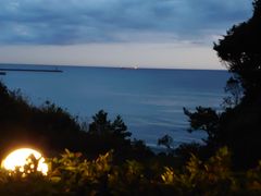 ԗ̏lI[VzeStNuւ̓eʐ^1