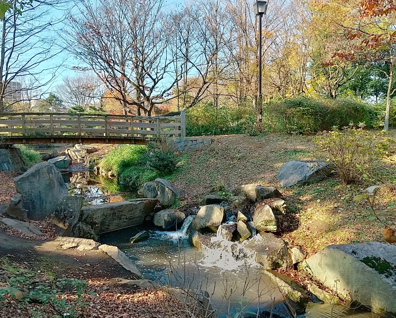 お花茶屋駅周辺の公園 庭園ランキングtop10 じゃらんnet