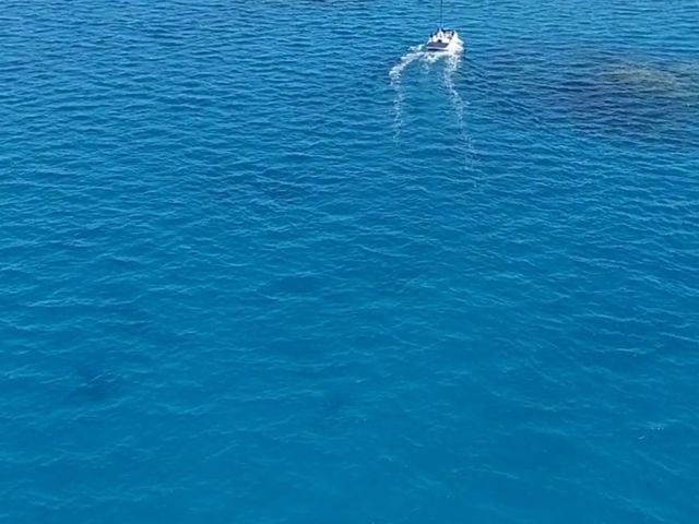 150���̃t���C�g_�Ί_���u���[�V�[�T�[