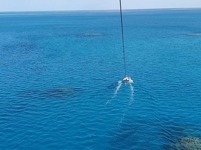 �X��ʂ�����邵�A�|�x���Ƃ��������_�Ί_���u���[�V�[�T�[