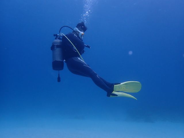 ��������SP_�t���[�X�^�C������_�C�r���O