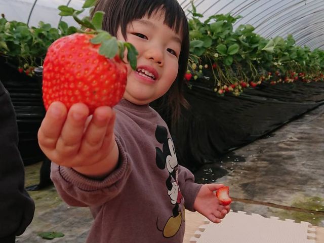 �ǂ��_(�L)�G�X.�G�X.�P�C