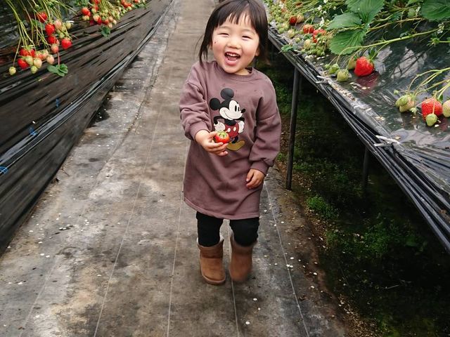 �Ί灙_(�L)�G�X.�G�X.�P�C