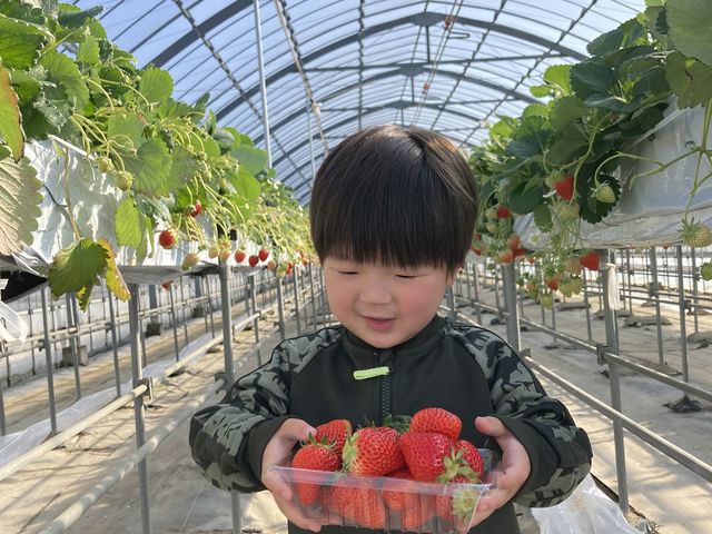 ��������H�ׂ��܂���_�����L�_��