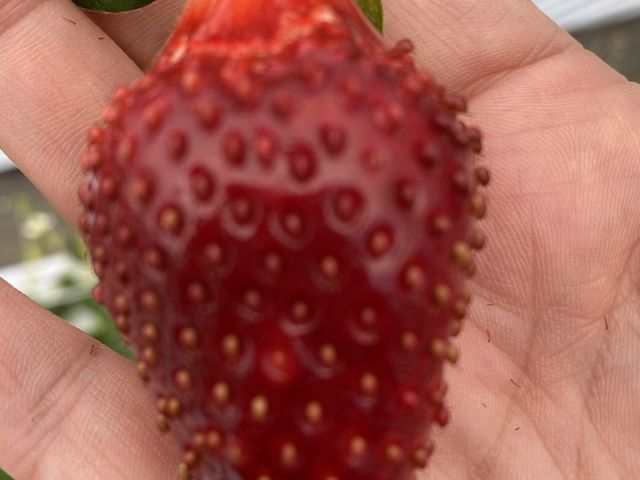 �ԂԂ��A�Ⴄ�^�C�v_���i�_��