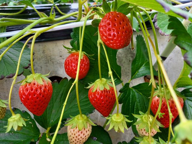 ���������������ł����B_���ǉ�