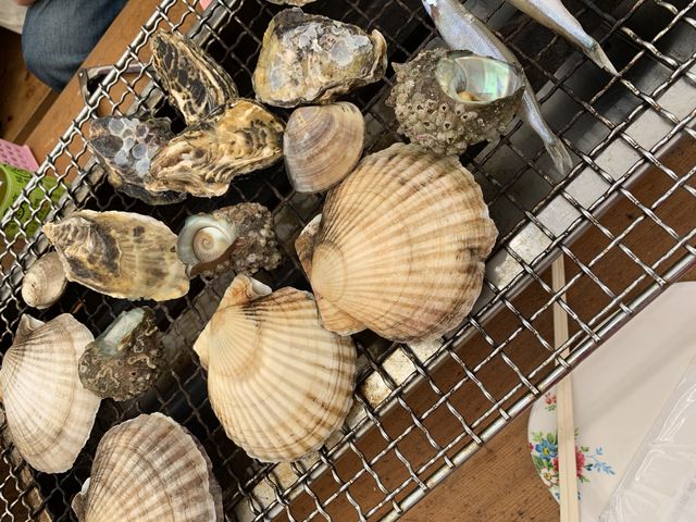 �����2�l���ł��B_�P�������J�L