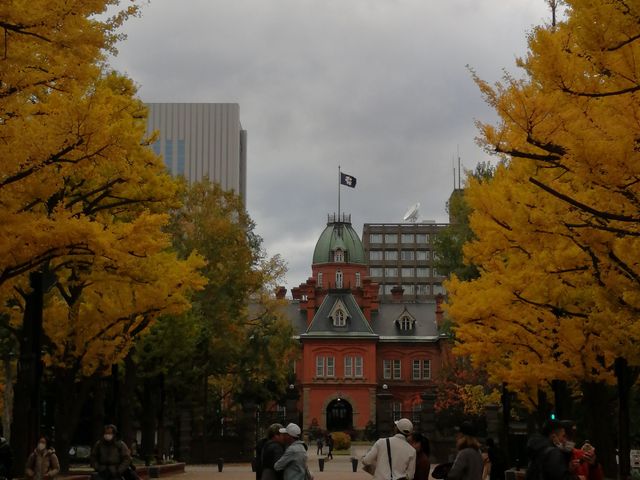 �������O�͎ʐ^�X�|�b�g_�k�C�������{����(�Ԃ�񂪒���)