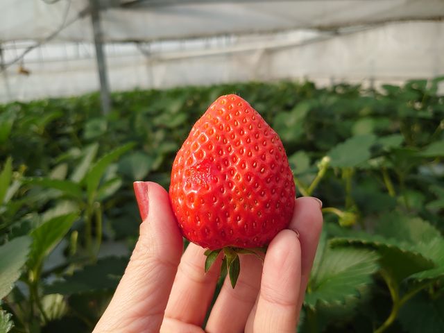 傫I܂őSgđSÂƂĂX_RhE_