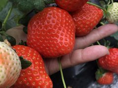 ݂񂳂̃Xgx[h}ւ̓eʐ^3