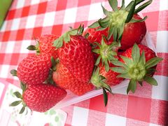 ���������t�F���[�`�F�̎ʐ^1