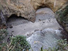 Ӂ[݂񂳂̗{Aւ̓eʐ^1