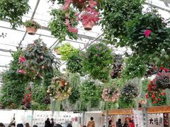 ܂ڂ񂳂̎OXJCEH[Nւ̓eʐ^1