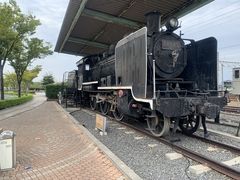 ����}�j�A����̂i�q�l�����x�Éw�ւ̓��e�ʐ^1