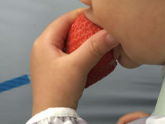 ɂ̃G[ACt@[ւ̓eʐ^1