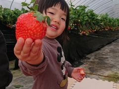 �^�钆�̑��z�����(�L)�G�X.�G�X.�P�C�ւ̓��e�ʐ^1