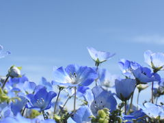 imohei̍cЂClւ̓eʐ^1