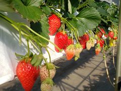 manami̊ό_Ct@[ւ̓eʐ^1