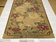 �ΐ삳��̑q�~�s����薰�T�L�O�ق̓��e�ʐ^3