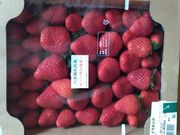 ؂̂܂ӂꂠZ^[̓eʐ^1