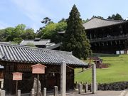 Yanwenli̓厛񌎓脉䉮̓eʐ^1