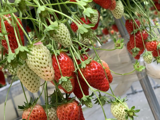 ���Ă邾���ōK���ɂȂ��B_��̌���