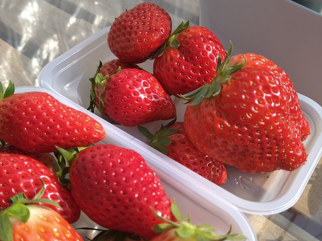 �t���b�V���ŊÂ��Ĕ�����������
(*^^*)_�������_���������s�A�b�c�@