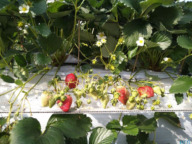 ���킢���������B_�������_���������s�A�b�c�@